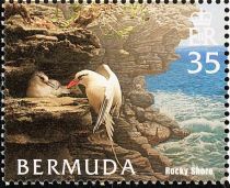 White-tailed Tropicbird (Phaethon lepturus), Rocky Shore