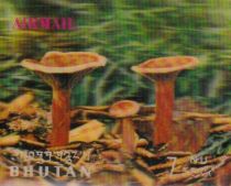 Mushrooms (Cantharellus tubae- formis var. Lutescens)