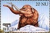 Wooly Mammoth (Mammuthus primigenius)