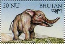 Platybelodon