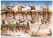 Prehistoric and Recent Animals