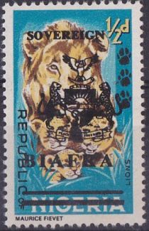 Lion (Panthera leo)