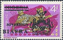 Leopard (Panthera pardus)