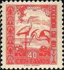 Cocoi Heron (Ardea cocoi)