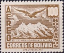 Mt. Illimani and Andean Condor (Vultur gryphus)