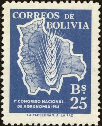 Grain inside Map of Bolivia