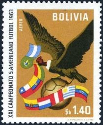 Andean Condor (Vultur gryphus), Flags