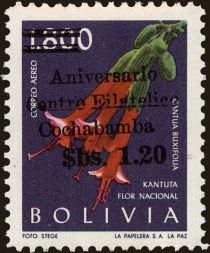 Flower "Cantua Bicolor" overprint