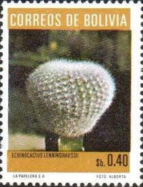 Echinocactus lenninghaussii