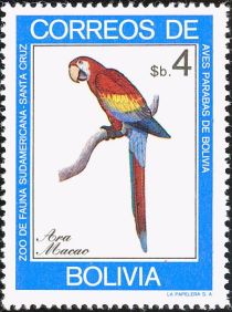 Scarlet Macaw (Ara macao)