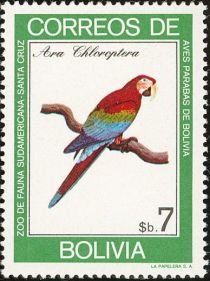 Red-and-green Macaw (Ara chloroptera)