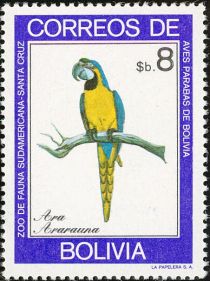 Blue-and-yellow Macaw (Ara ararauna)