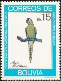 Military Macaw (Ara militaris)