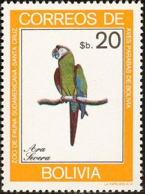 Chestnut-fronted Macaw (Ara severa)