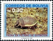 Seven-banded Armadillo (Dasypus septemcinctus)