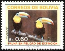 Keel-billed Toucan (Ramphastos sulfuratus)