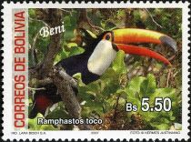 Toco Toucan (Ramphastos toco)