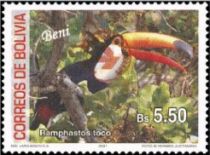 Toco Toucan (Ramphastos toco)