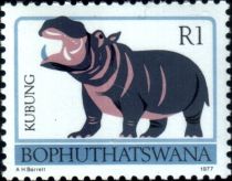 Hippopotamus (Hippopotamus amphibius)