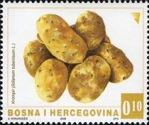 Potatoes (Solanum tuberosum)