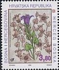 Campanula hercegovina