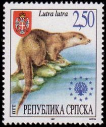 Eurasian Otter (Lutra lutra)