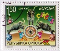 Circus - Elephants