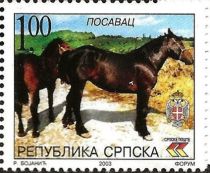 Posavina's Horse (Equus ferus caballus)