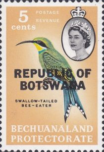 Swallow-tailed Bee-eater (Merops hirundineus)