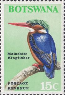 Malachite Kingfisher (Corythornis cristata)