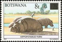 Hippopotamus (Hippopotamus amphibius)