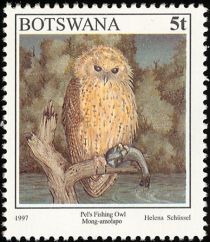 Pel’s Fishing Owl (Scotopelia peli)