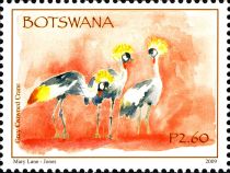 Grey Crowned Crane (Balearica regulorum)