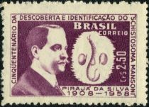 Pirajá da Silva (1873-1961) and Schistosoma mansoni (fluke)