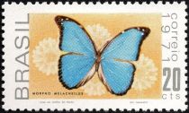 Menelaus Blue Morpho (Morpho menelaus)