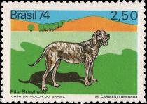 Fila Brasileiro (Canis lupus familiaris)