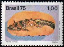 Fossil Fish / Ceara