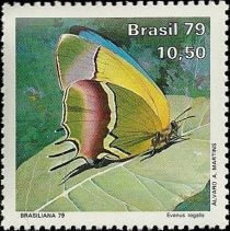 Regal Hairstreak (Evenus regalis)