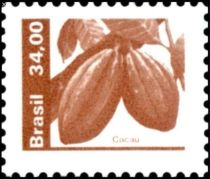 Cacau - Cocoa