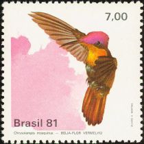 Ruby-topaz Hummingbird (Chrysolampis mosquitus)