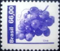 Uva - Grapes