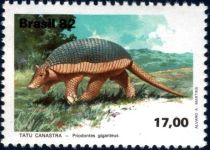 Giant Armadillo (Priodontes giganteus)