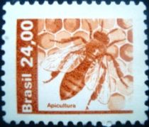 Apicultura - Apiculture