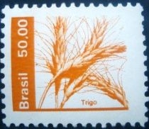 Trigo - Wheat