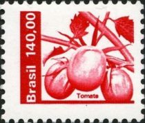 Tomato