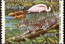 Capybara, Roseate Spoonbill, Jaguar