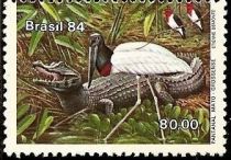 Red-crested Cardinal, Jabiru, Caiman