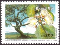 Inauguration of the Botanical Garden-(Caryocar brasiliense)