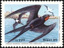 Magnificent Frigatebird (Fregata magnificens)