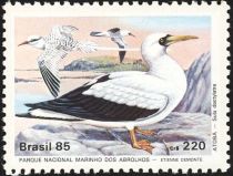 Masked Booby (Sula dactylatra), Red-billed Tropicbird